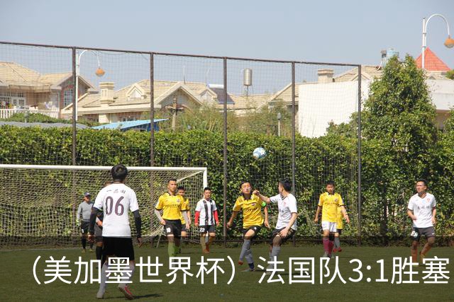 （美加墨世界杯）法国队3:1胜塞内加尔 姆巴佩梅开二度